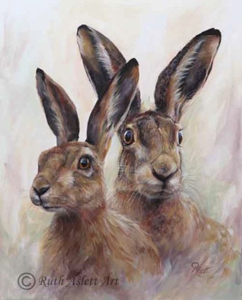 Hare Paintings, Face Diagram, Hare Portrait, Pet Commissions, British Wildlife Art, Hare Drawing, Hare Pictures, Hare Watercolour, Paint Gouache