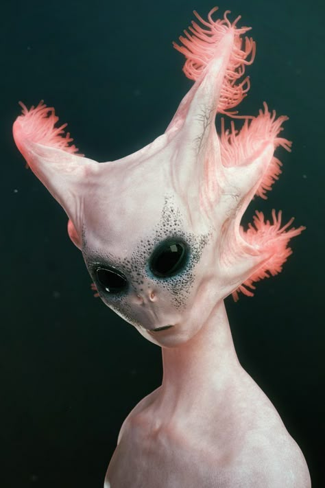 Creature Fantasy, Arte Alien, Alien Character, Heroic Fantasy, Alien Concept, Alien Design, Aliens And Ufos, Alien Races, Alien Concept Art