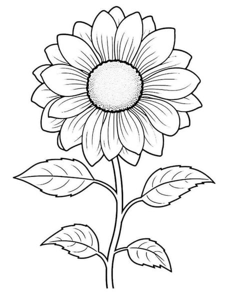 Sunflower Outline Drawing Simple, Sunflower Sketch Simple, Drawing Outlines Sketch, Flower Drawing Sunflower, Sunflower Design Drawing, Simple Sunflower Drawing, Flowers Outline Drawing, Sunflower Ceramics, Sunflower Drawing Simple