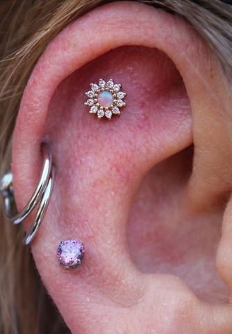 Ear Piercings Ideas, Flat Piercing, Piercings Earrings, Gold Ear Jacket, Earrings Piercings, Piercings Ideas, Ear Piercing Ideas, Pretty Ear Piercings, Septum Piercings