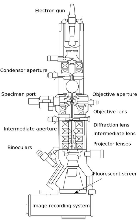 Physics Astronomy, Science Diagrams, Scanning Electron Microscope, Medical Device Design, Work Function, Technology Projects, Electron Microscope, Biology Lessons, Microscopes