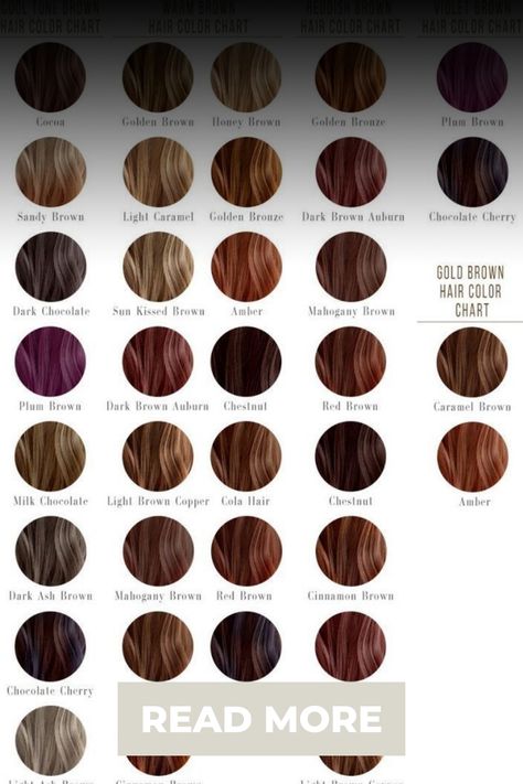 Bold and Beautiful: Dark Fall Hair Colors for Blondes & BrunettesHoney Blonde to Chestnut Brown: Fall Hair Color Ideas Brown Fall Hair Color, Brown Fall Hair, Dark Chestnut Hair, Fall Hair Colors For Blondes, Hair Colors For Blondes, Dark Fall Hair Colors, Natural Looking Highlights, Girl Hair Drawing, Dark Fall Hair