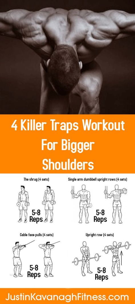 Trap Workout, Bigger Shoulders, Traps Workout, Workout Man, Men Tips, Killer Workouts, Muscles In Your Body, Fitness Photoshoot, Workout Chart