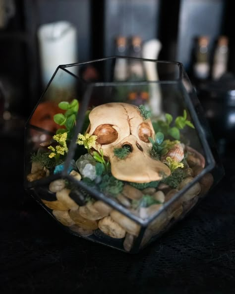 ✨ Psyduck Skull Terrarium ✨ To see all available pokémon taxidermy, oddities, bugs, skulls, skeletons, and more, check out our website and Etsy shop! Link in bio 🖤 . . #pokemon #oddities #pokemonart #videogameart #psyduck #pokemoncommunity #aesthetic Geek Terrarium, Skull Terrarium, Nerdy Decor, Pokemon Decor, Pokemon Terrarium, Taxidermy Decor, Nerd Crafts, Boys Bedroom Makeover, Spooky Home Decor