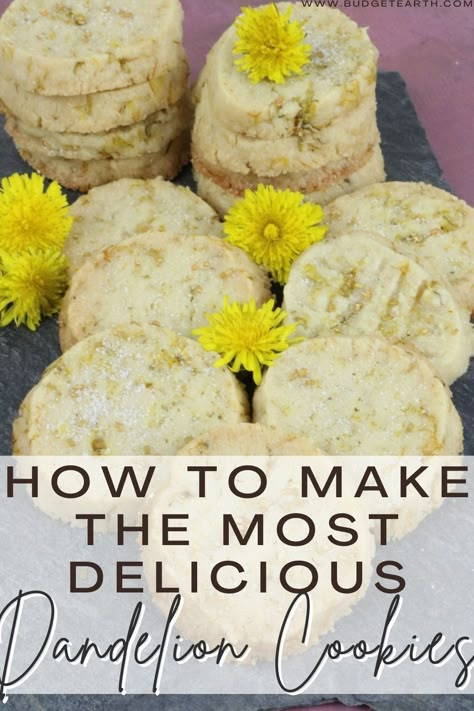 Are you looking for a good use for dandelions in your yard? Check out our Dandelion cookies recipe here! Dandelion Recipe, Dandelion Cookies, Fried Greens, Dandelion Uses, Benefits Of Dandelion, Dandelion Tea, Food Foraging, Dandelion Jelly, Recipe Cookies