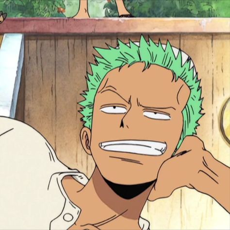 Roronoa Zoro One Piece, Time Skip, Zoro One Piece, Roronoa Zoro, One Piece, Hair, Anime