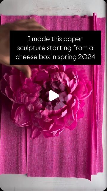 Amity Libby on Instagram: "Feeling grateful. This course was made in spring of 2024. I remember the light was so wonderful every day. It’s a paper peony made out of a cheesebox base with tons of crepe paper running petals. It’s for your wall! I teach how in the link in bio. You need to eat the cheese first. Then make the flower!" Crepe Paper Peony, Crepe Paper Flower, Paper Peony, Feeling Grateful, Cheese Box, Paper Peonies, Paper Flower Wall, Crepe Paper, Paper Sculpture