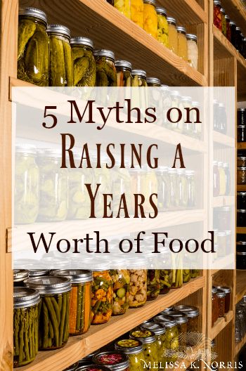 5 Gardening Myths on Raising a Years Worth of Food – Melissa K. Norris Years Worth Of Food Garden, How To Grow A Years Worth Of Food, What To Can From Garden, Growing A Years Worth Of Food, Healthy Homestead Meals, 25 Acre Homestead Layout, Pioneering Today Melissa K Norris, Homestead Layout 5 Acres, Missouri Gardening