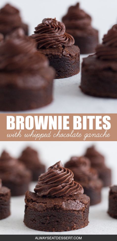 Homemade brownie bites topped with whipped chocolate ganache are a crowd-pleasing dessert for any party! These elevated mini brownies are baked from scratch and taste 10,000 times better than store bought brownie bites. Sprinkle them with extra toppings - like crushed peppermint candy canes or chopped pecans - for an easy and customizable chocolate dessert. #browniebites #chocolatebrownies #chocolate #chocolateganache #minidesserts Brownie Bites Recipe, Finger Desserts, Whipped Chocolate Ganache, Crushed Peppermint, Homemade Brownie, Mini Brownies, Dessert Bites, Bite Size Desserts, Brownie Bites