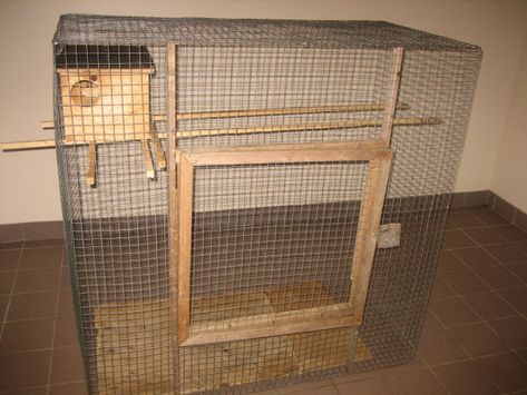 Squirrel Cage Ideas, Baby Squirrel Care, Farm Vet, Pet Squirrel, Baby Opossum, Charlie Boy, Intestinal Parasites, Wildlife Rehabilitation, Squirrel Cage