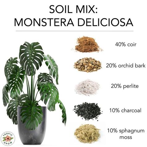 Monstera Soil Mix Guide! Here are some of our recommended soil mixes for Monstera deliciosa. Which soil mix do you use right now? Let us know if this guide was helpful! Monstera Soil, Monstera Plant Care, Orchid Bark, Plant Mama, Plants Care, Plant Care Houseplant, Plant Care Tips, Plant Hacks, Astuces Diy