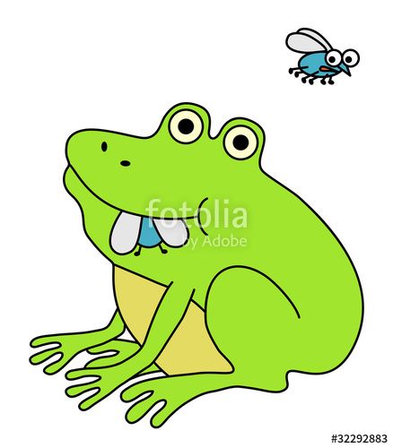 Frog eating fat fly, funny cartoon illustration." Stock image and ... Frog Eating Fly, Fly Illustration, Frog Eating, Frog Clipart, Backyard Art, Free Vector Files, Frog Art, Children's Art, Childrens Art