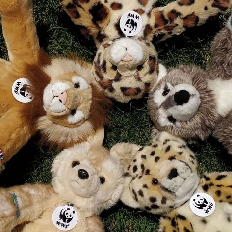 Build a bear WWF collection including wolf, cheetah, lion, leopard, fennec fox Build A Bear Wwf, Build A Bear Wallpaper, Build A Bear Collection, Build A Bear Aesthetic, Weird Plushies, Fish Wallpaper Iphone, Soft Plushies, Build A Bear Outfits, Teddy Bear Wallpaper