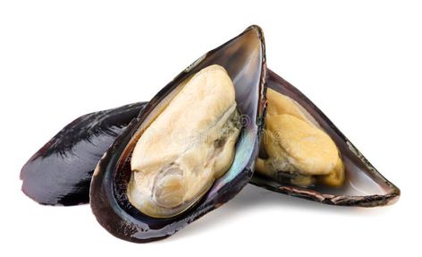 Pile of mussels with shell close-up on a white background. Isolated stock photos Mussel Shell, Close Up, White Background, Shells, Stock Images, Nutrition, Stock Photos, White