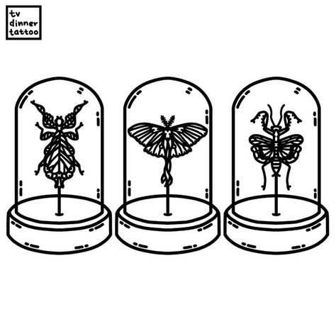 Cabinet Of Curiosities Tattoo, Oddity Tattoo Ideas, Trinket Tattoo, Oddities Tattoo, Simple Line Work Tattoo, Oddity Tattoo, Terrarium Tattoo, Insect Tattoo, Bottle Tattoo