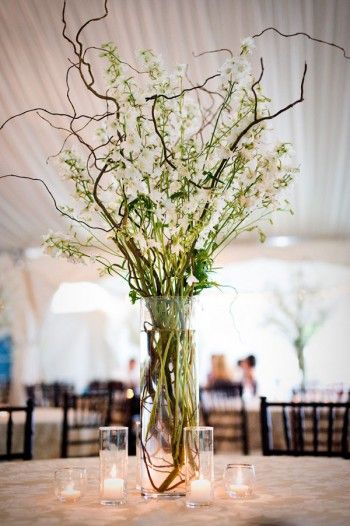 might be a pretty centerpiece since we are doing green and brown... just browsing Branch Centerpieces Wedding, Branch Centerpieces, Wedding Branches, Tall Wedding Centerpieces, Curly Willow, Tafel Decor, Willow Branches, Eco Friendly Wedding, Deco Floral