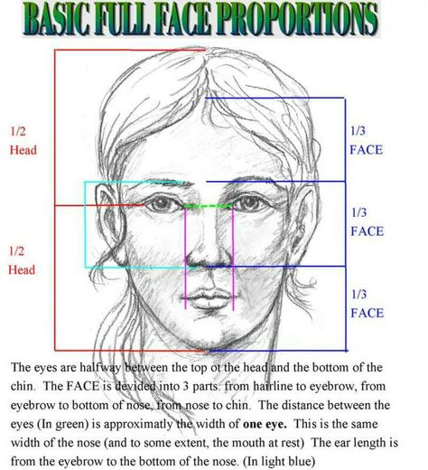 Front face proportions Facial Proportions, Face Proportions, 얼굴 드로잉, 얼굴 그리기, Intuitive Art, Anatomy Drawing, Facial Features, Human Face, Drawing Lessons