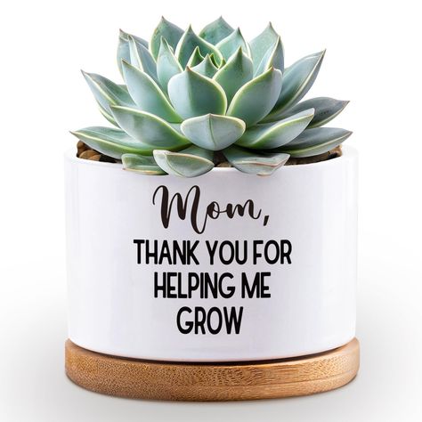 PRICES MAY VARY. This ceramic pots for plants is a funny plant pot for mom that surprises her; featuring the message "Mom Thank You for Helping Me Grow " ,this ceramic planter is a ideal choice for her This 3.5 inch cute plant pot features a minimalist design that complements any decor; for indoor and outdoor settings; designed with a drainage hole at the bottom; promoting better root growth Each planter tray included,the cute succulent pots comes with a tray that catches excess water; protectin Funny Plant Pots, Cute Flower Pots, Small Succulent Pots, Pots For Indoor Plants, Message Mom, Birthday Presents For Mom, Planting Pot, Succulent Planters, Root Growth