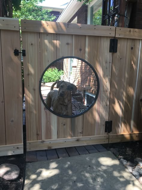 Repurposed bicycle wheel is now the center of the new gate I built. Garden Gate Design, Dog Window, Wheel Decor, Backyard Fences, Wooden Fence, Backyard Projects, Fence Design, Gate Design, Garden Gates