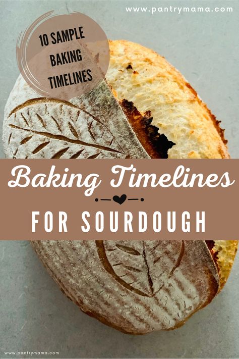 Bread Beginner, Bake Sourdough Bread, Easy Sourdough Bread Recipe, Making Sourdough Bread, Sourdough Recipe, Oven Temperature, Beginner Recipes, Sourdough Starter Discard Recipe, Easy Sourdough