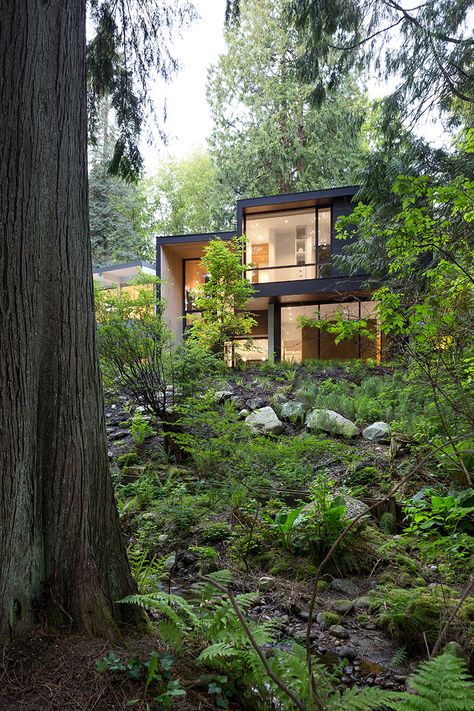 House In Middle Of Forest, Oregon Houses Woods, Pinecone Trail House Plan, Oregon Treehouse, Post And Beam House, Small Abandoned Houses In The Woods, Vancouver House, Beam Structure, West Vancouver