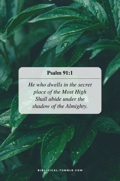 The Secret Place With God, Psalms 91:11, Psalm 91:1-2, Psalm 91:1-4, Psalm 91:11-12, Psalm 91 1, Shadow Of The Almighty, Secret Place, Creepy Horror