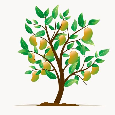 Flat botanical mango tree illustration | Free Vector #Freepik #freevector #food #tree #fruit #eat Mango Tree Illustration, Avatar Family Tree, Indian Trees, Roots Drawing, Food Tree, Date Plant, Fruit Bearing Trees, Tree Logo Design, Cartoon Trees