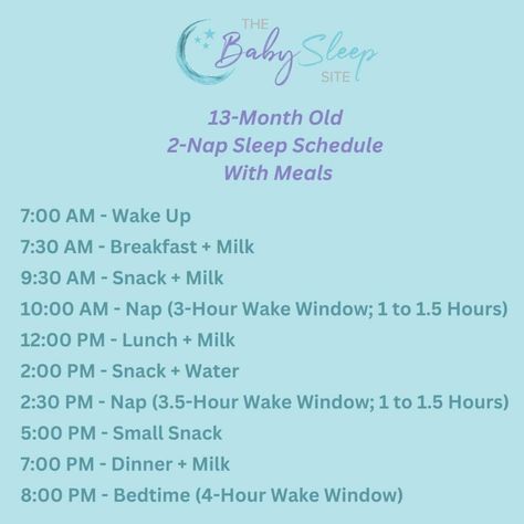 13 Month Old Sleep Schedule, 13 Month Old Schedule, 19 Month Old, Baby Solid Food, Baby Routine, Baby Life Hacks, Solids For Baby, Sleep Schedule, Pregnancy Journey