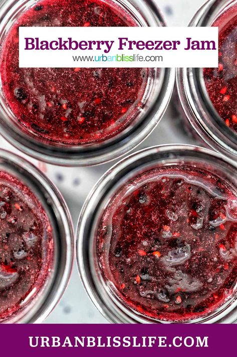 This Blackberry Freezer Jam is easy to make with fresh berries. It keeps in the freezer for up to one year! Get the easy freezer jam recipe at UrbanBlissLife.com. Blackberry Freezer Jam Recipe, Blackberry Freezer Jam, Peach Freezer Jam, Easy Jam Recipe, Easy Jam, Freezer Jam Recipes, Family Baking, Meal Train Recipes, Freezer Jam