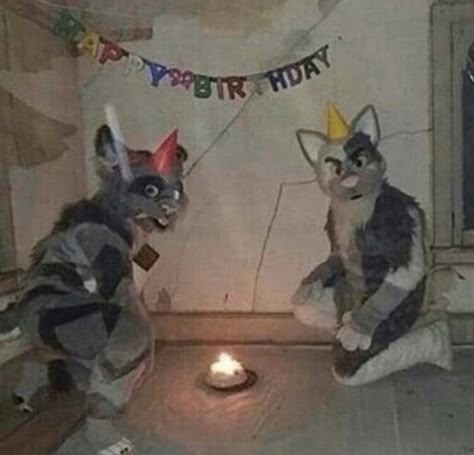 Cursed Birthday, Silly Happy Birthday, Help Meme, Birthday Memes, Happy Bday, Reaction Images, Reaction Memes, Reaction Pics, My Birthday