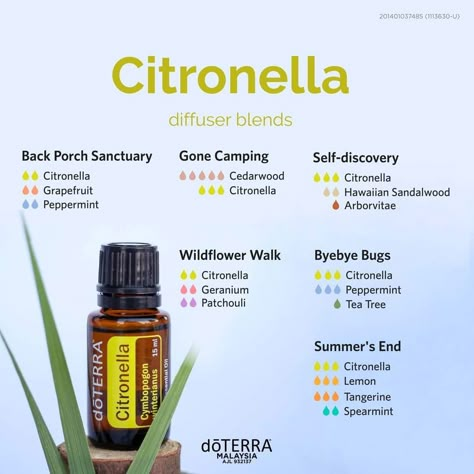 Citronella Essential Oil Diffuser Blends, Essential Oil Bug Repellent Diffuser, Bug Repellent Diffuser Blend, Citronella Diffuser Blend, Citronella Essential Oil Blends, Doterra Citronella, Young Living Citronella, Essential Oil Bug Repellent, Essential Oil Spray Recipes