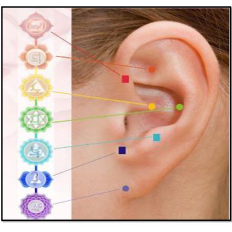 7 Chakras Meditation, Ear Reflexology, Kundalini Meditation, Chakra Health, Yoga Kundalini, Types Of Ear Piercings, Yoga Mantras, Chakra Yoga, Seven Chakras