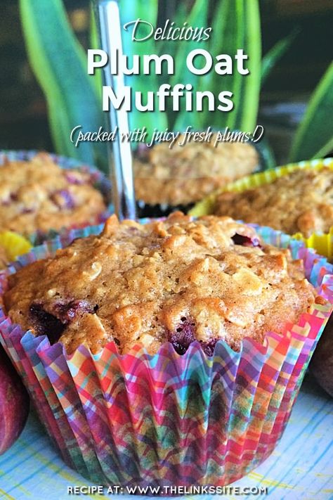 Plum Muffins, Healthy Oats, Plum Recipes, Oat Muffins, Diet Vegetarian, Breakfast Muffins, Beginners Knitting, Rachael Ray, Healthy Dessert Recipes