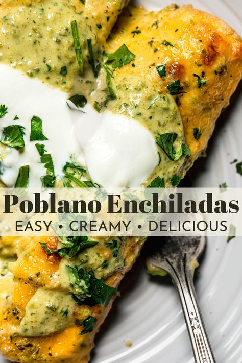 These Poblano Enchiladas put a smoky, creamy twist on classic red enchiladas! Filled with shredded chicken, covered in my Roasted Poblano Cream Sauce, and topped with melted cheese, every bite of this Mexican-inspired meal is more mouthwatering than the last. // recipe // easy Poblano Dinner Recipes, Enchiladas Plating, Chicken Poblano Tacos, Poblano Pepper Enchiladas, Roasted Poblano Pepper Recipes, Chicken Poblano Enchiladas, Stuffed Poblano Pepper Recipes, Mexican Thanksgiving Dinner Ideas, Poblano Chicken Enchiladas