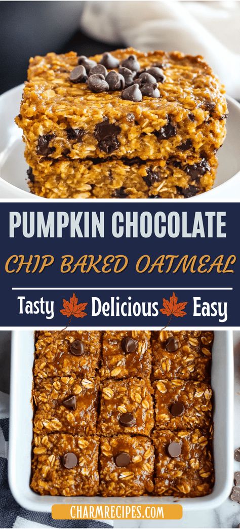 PUMPKIN CHOCOLATE CHIP BAKED OATMEAL Pumpkin Chocolate Chip Oatmeal Bars, Oatmeal Breakfast Bake Recipes, Baked Steel Cut Oatmeal, Chocolate Chip Baked Oatmeal, Pumpkin Baked Oatmeal, Oatmeal Baked, Oatmeal Dessert, Baked Pumpkin Oatmeal, Baked Breakfast Recipes