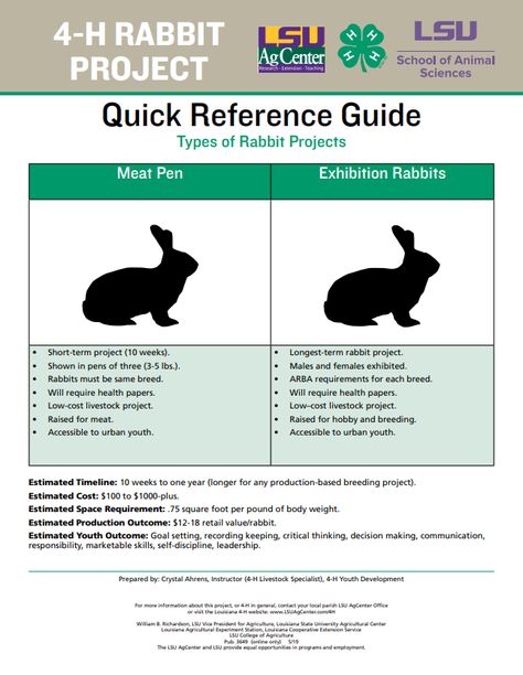 The rabbit project teaches proper methods to care for rabbits as well as raising, breeding and marketing rabbits effectively. Rabbit projects include meat pens (terminal market production), breeding rabbits (breeding and raising rabbits desired for specific characteristics), and hobby or pet rabbits (used for companionship). The 4-H rabbit project is a livestock format that is accessible to both urban and rural 4-H’ers. Meat Rabbits Breeds, Breeding Rabbits, Rabbit Breeding, Livestock Judging, Show Rabbits, Pet Rabbits, 4 H Club, Rabbit Farm, Meat Rabbits