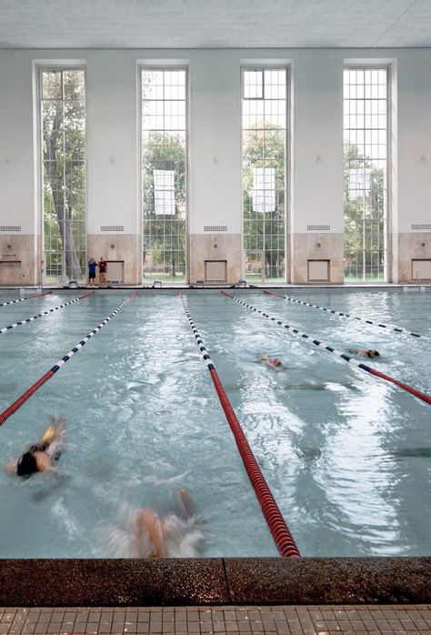 Gallery of Swimming Hall Finckensteinallee / Veauthier Meyer Architects - 4 Cozy Pool, Luxury Pools Indoor, Backyard Pool Design, Pool Hall, Lap Swimming, Swimming Pool Architecture, Indoor Pools, Plan Layout, Pool Halls