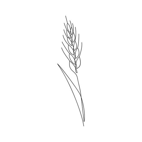 Wheat Line Art, Agriculture Sketch, Wheat Drawing, Wheat Tattoo, Simple Vector Illustration, Branch Drawing, Midlife Crisis, Continuous Line Drawing, Art Simple