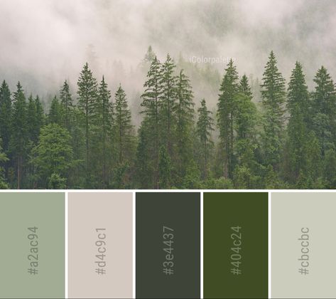 Color Palette Theme, Forest Color, Green Colour Palette, Forest Theme, Tropical Colors, Color Palette Design, Corporate Design, Color Stories, Ecosystem