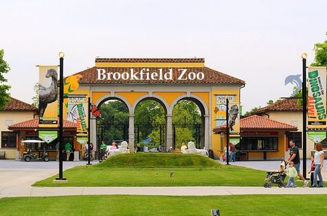 Brookfield Zoo been here plenty of times as a kid Chicago Vacation, Brookfield Zoo, Chicago Suburbs, Chicago Photos, My Kind Of Town, Us Travel Destinations, Family Vacation Destinations, The Windy City, Road Trip Usa