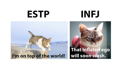 Estp Infj Relationship, Infj And Estp, Estp And Infj, Infj X Estp, Estp Infj, Personally Types, Explorers Mbti, Mbti Facts, Infj Relationships