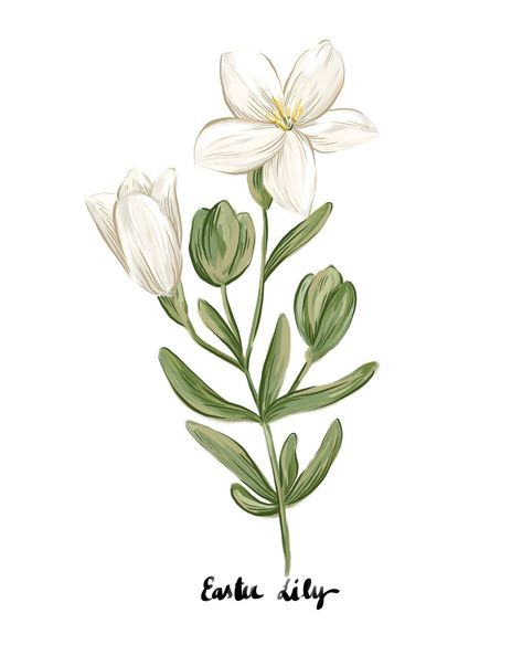 Binny | Easter Lily, Crocus & Hellebore.⁠ ⁠ ⁠ Sign up now 💌⁠ https://binnywear.com/pages/subscribe ⁠⁠ | Instagram Easter Lily, April 12, Water Colour, Gouache Painting, Aesthetic Stickers, This Morning, Watercolor Flowers, Happy Easter, Easter Bunny