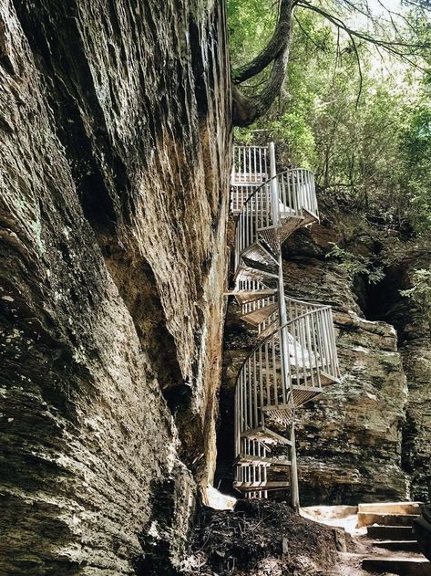 Best Places To Visit In Alabama, Alabama Waterfall Road Trip, Southern Alabama Things To Do, Day Trips In Alabama, Fun Things To Do In Alabama, Florence Alabama Things To Do In, Alabama Road Trip Ideas, Monte Sano State Park Alabama, What To Do In Alabama