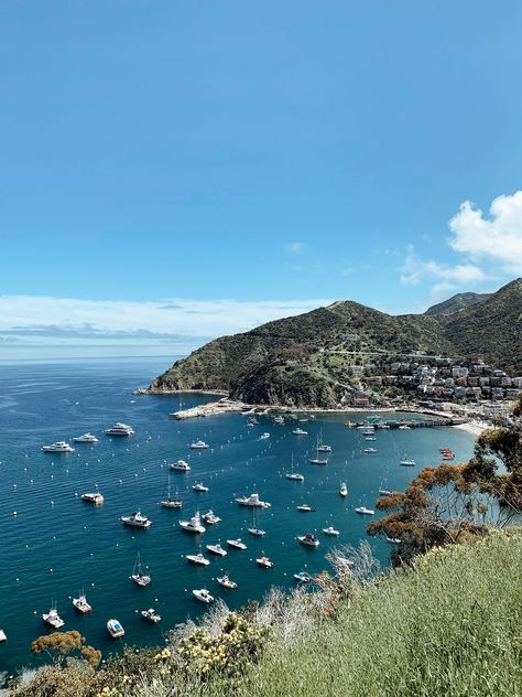 Planning a day trip to catalina island? Here are the best hotels and things to do for this weekend getaway! #LoveandLoathingLA #travel Descanso Beach Club, Ocean Sports, Two Harbors, Los Angeles Travel, California Vacation, Waterfront Restaurant, The Perfect Girl, Catalina Island, Island Vibes