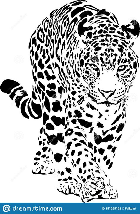 Leopard Sketch, Leopard Illustration, Regard Animal, Black And White Leopard, Tiger Tattoo Design, Leopard Art, Animal Humour, Tiger Tattoo, White Leopard