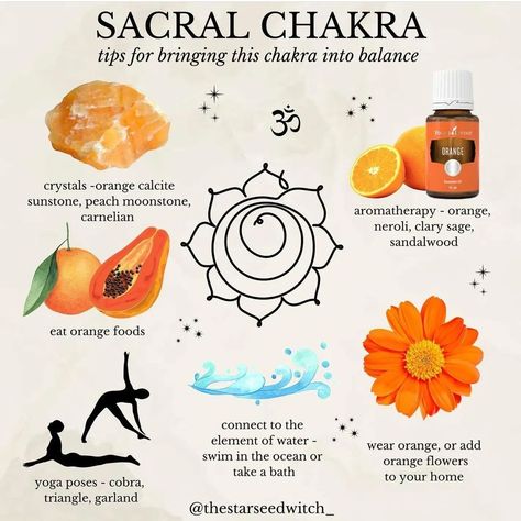 Chakra Guide, The Solar Plexus Chakra, Sacral Chakra Healing, Chakra Healing Meditation, The Sacral Chakra, Chakra Health, Chakra Heilung, Astrology Books, Energy Healing Spirituality