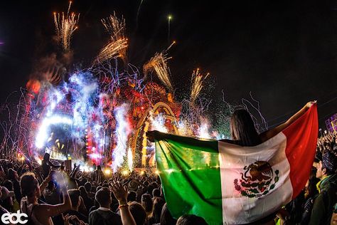 68 Arrested at EDC Mexico for Pickpocketing | Your EDM Edc Mexico, Edc Las Vegas, Electric Daisy, Festival Rave Outfit, Living In Mexico, Electric Forest, Electric Daisy Carnival, Festivals Around The World, Geek Jewelry