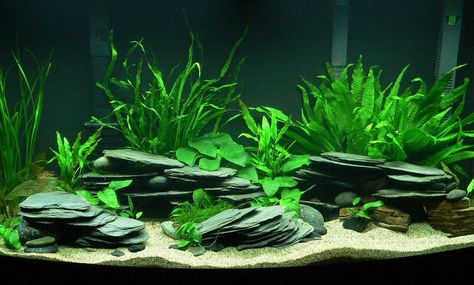 DIY Stacked Slate Caves - petdiys.com Rock Aquarium, Cichlid Aquarium, Fish Tank Themes, Amazing Aquariums, Fish Tank Terrarium, Goldfish Tank, Cool Fish Tanks, Diy Fish Tank, Fish Tank Design