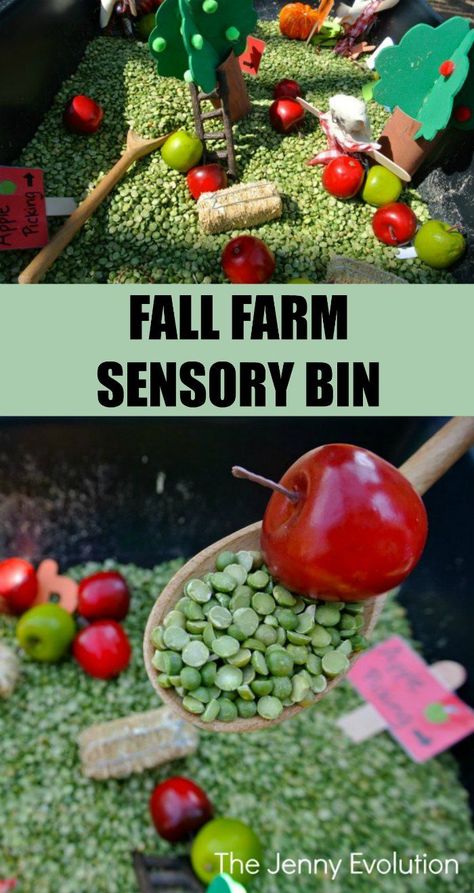 Thanksgiving Crafts And Activities, Farm Sensory, Farm Sensory Bin, Spring Sensory, Farm Play, Fall Sensory Bin, Toddler Sensory Bins, Sensory Tubs, Apple Preschool