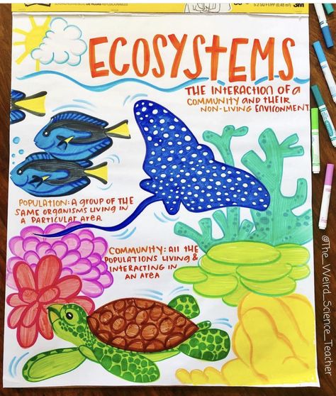 Food Chain Anchor Chart, Ecosystem Anchor Chart, Food Chains Anchor Chart, Ecosystem Art, Teaching Ecosystems, Kindergarten Science Projects, Classroom Management Songs, 2024 Classroom, Ecosystems Projects